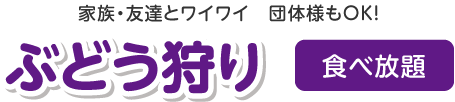 ぶどう狩り